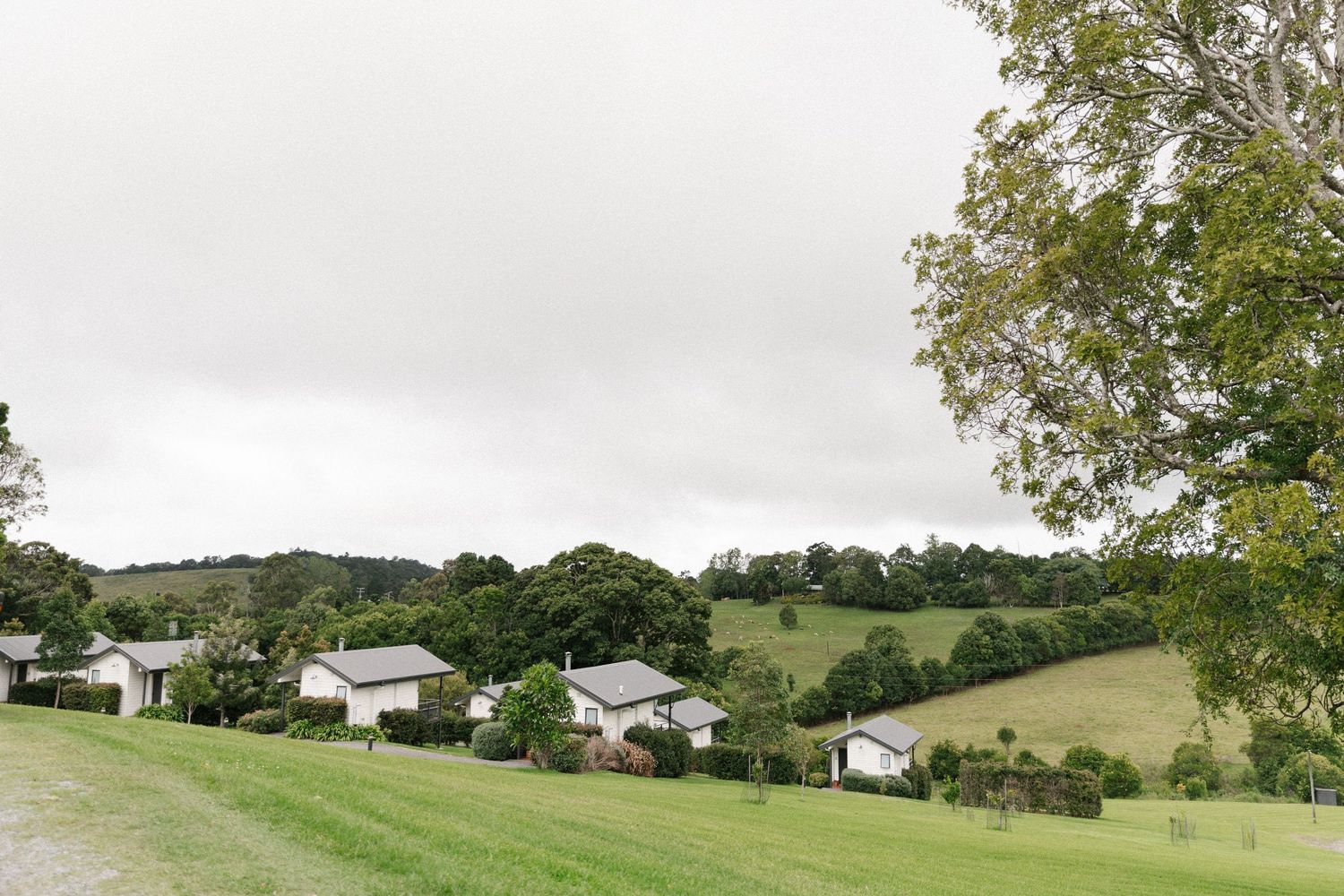 Scenic rural landscape with white cottages nestled among lush green hills and trees under an overcast sky.