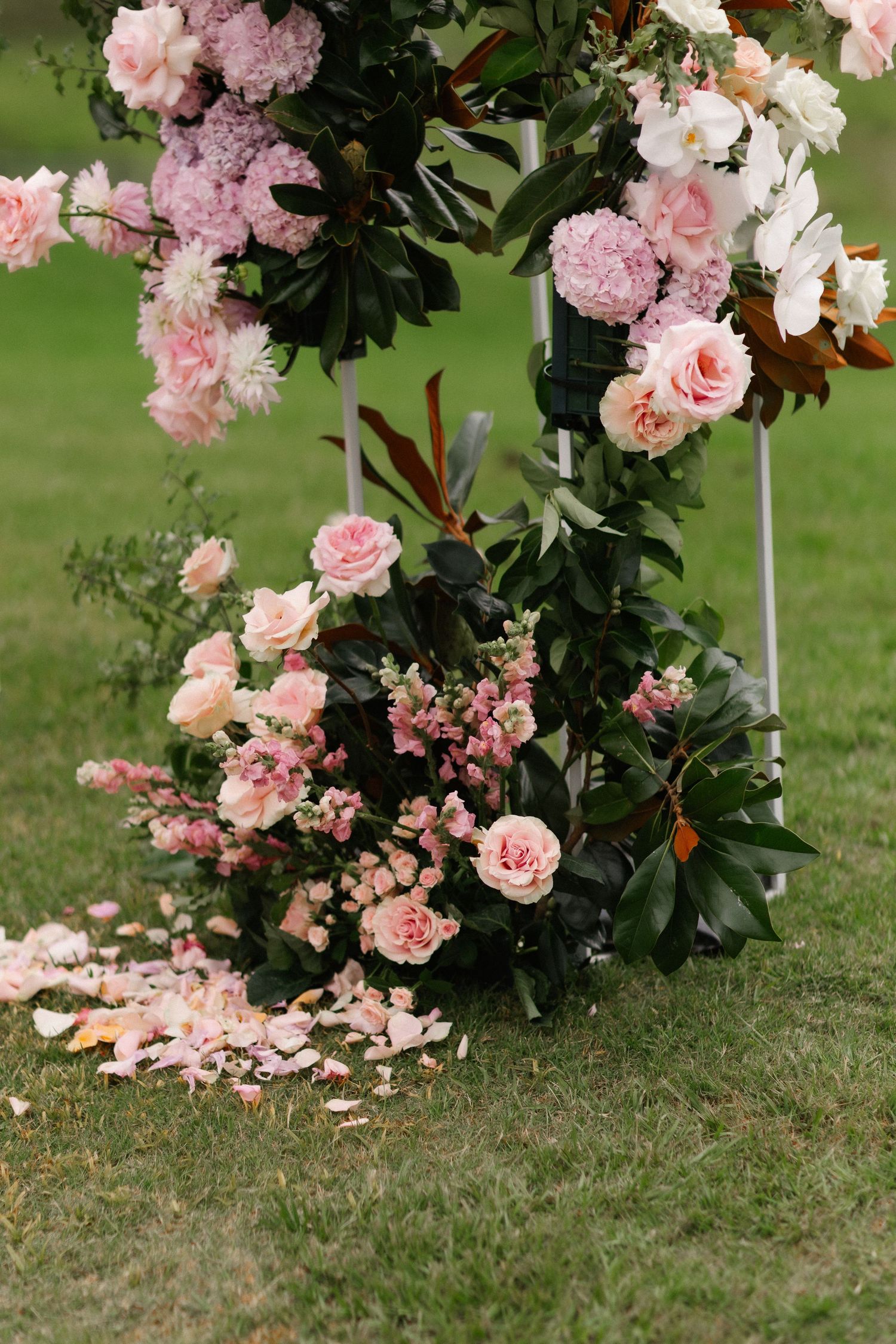 Pink roses and hydrangeas adorn a wedding arch with scattered petals on green grass.