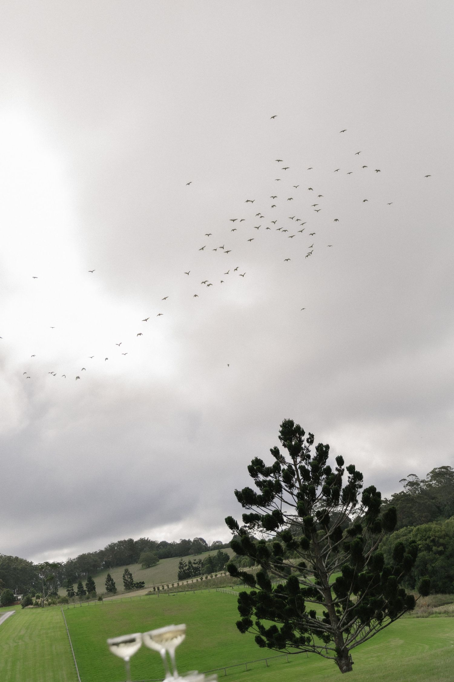 Flock of birds flying over lush green golf course landscape under dramatic cloudy sky at wedding venue.