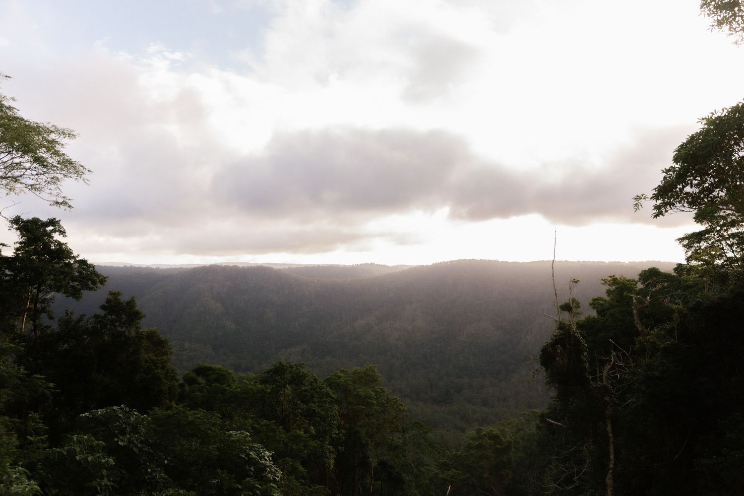 Scenic misty mountain landscape with lush green rainforest canopy under a cloudy sky at sunset.