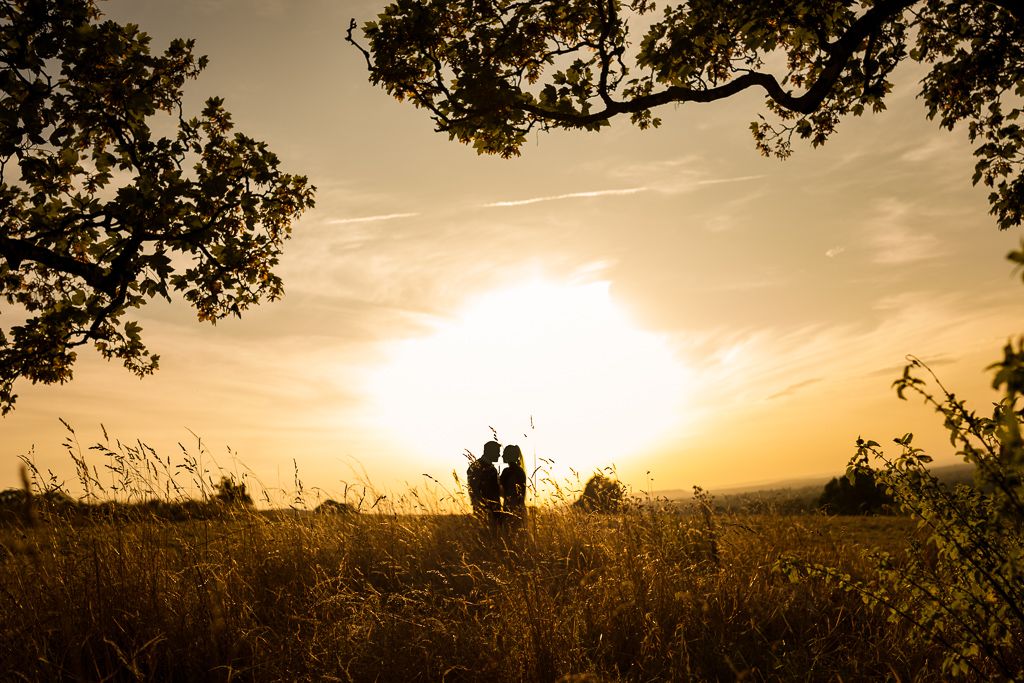 Silhouette of a couple embracing in a golden sunset field framed by tree branches.