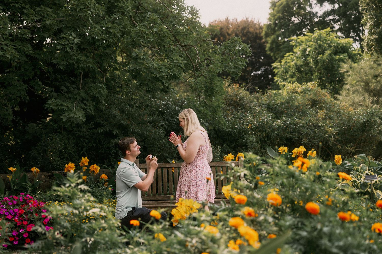 Man proposes on one knee to woman in colorful flower garden surrounded by lush greenery.