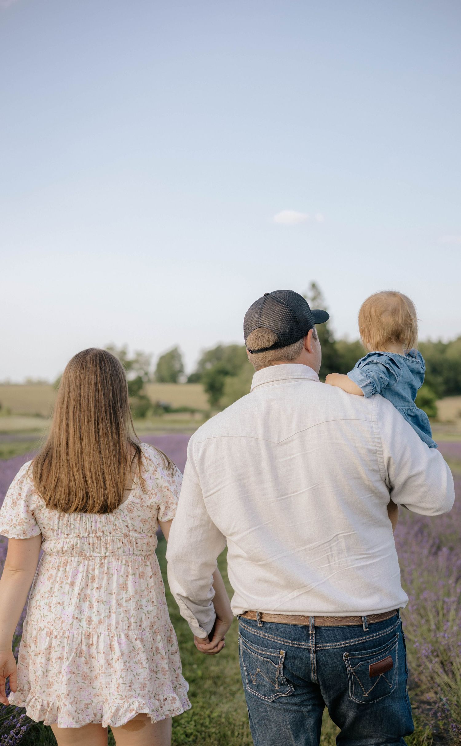 A family of three walks through a lavender field, with parents holding hands and father carrying a toddler on his shoulder.