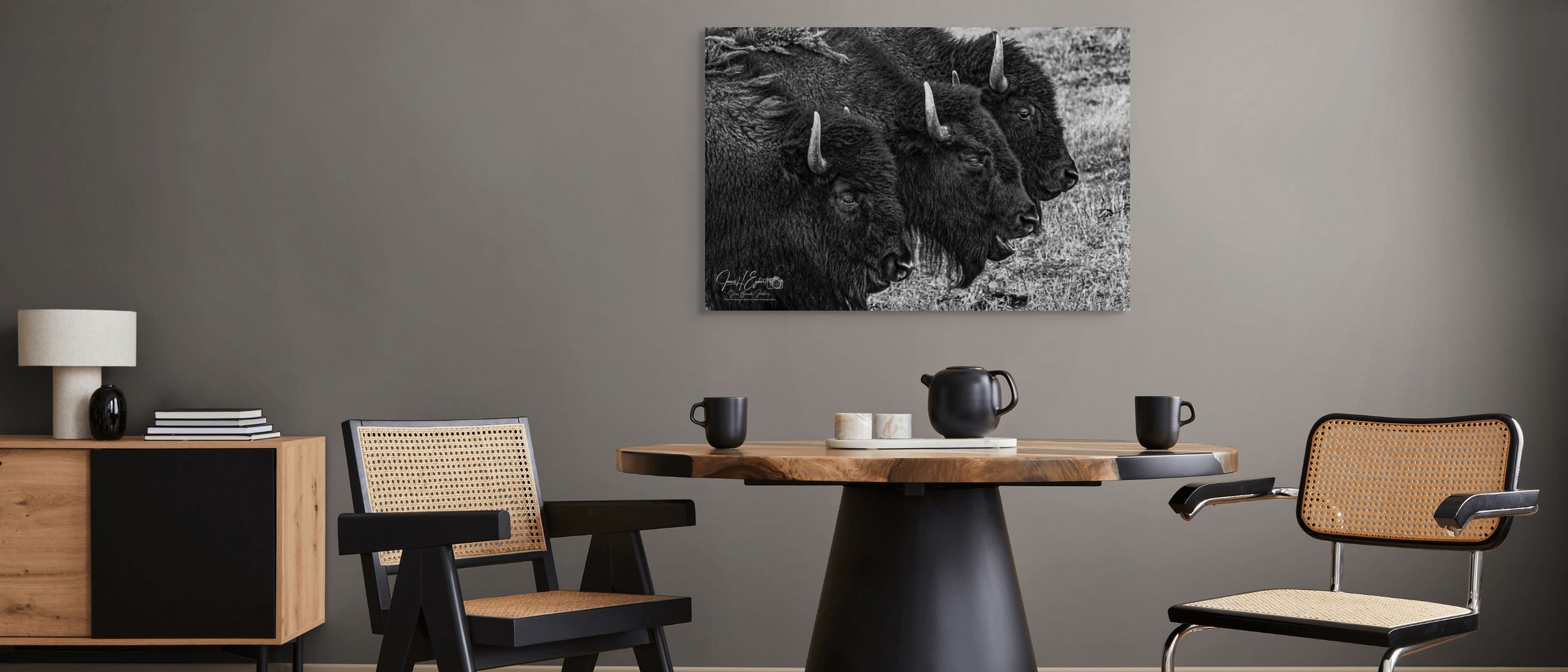 Framed Colorado Wildlife fine art photography displayed in a luxury living room interior