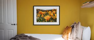 Framed Arizona Wildflowers fine art photography displayed in a luxury living room interior
