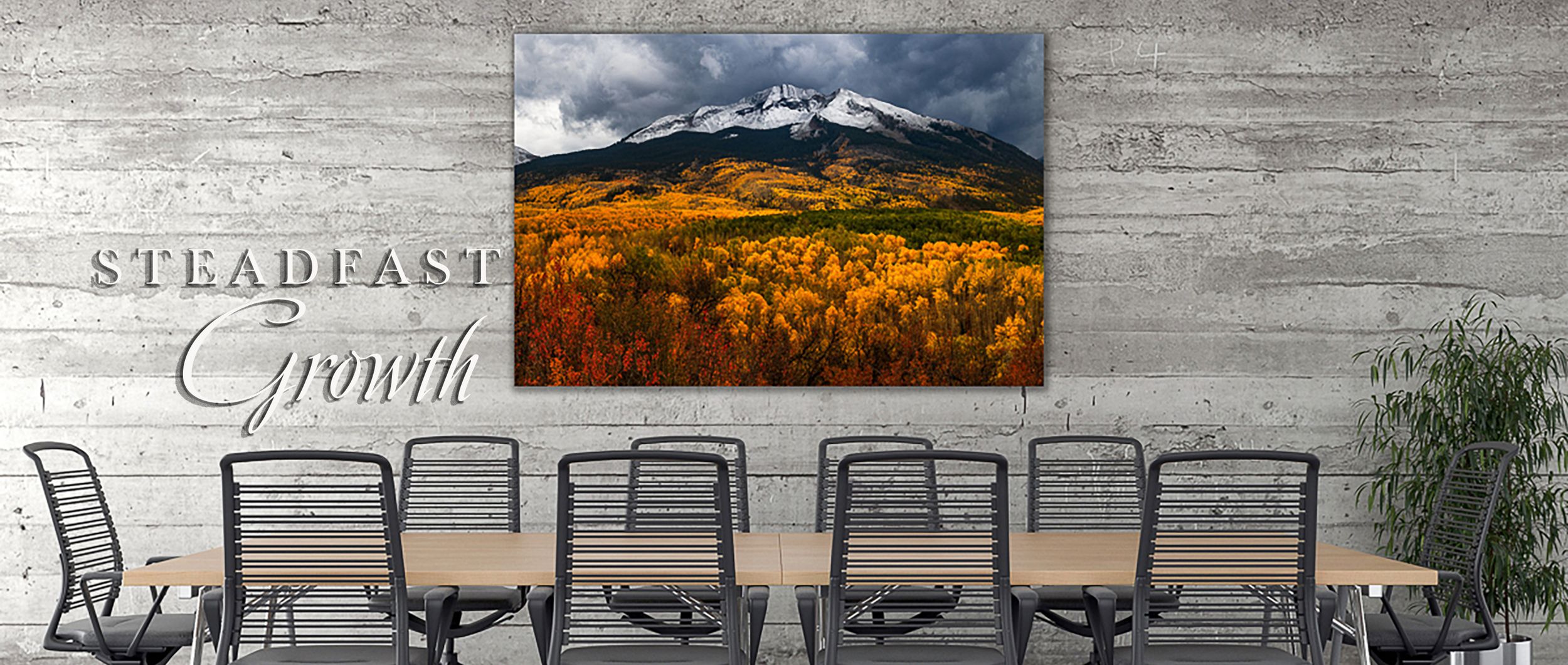 Steadfast Growth
“Colorado landscape fine art photography displayed in a luxury residential living room” Pikes Peak, Colorado