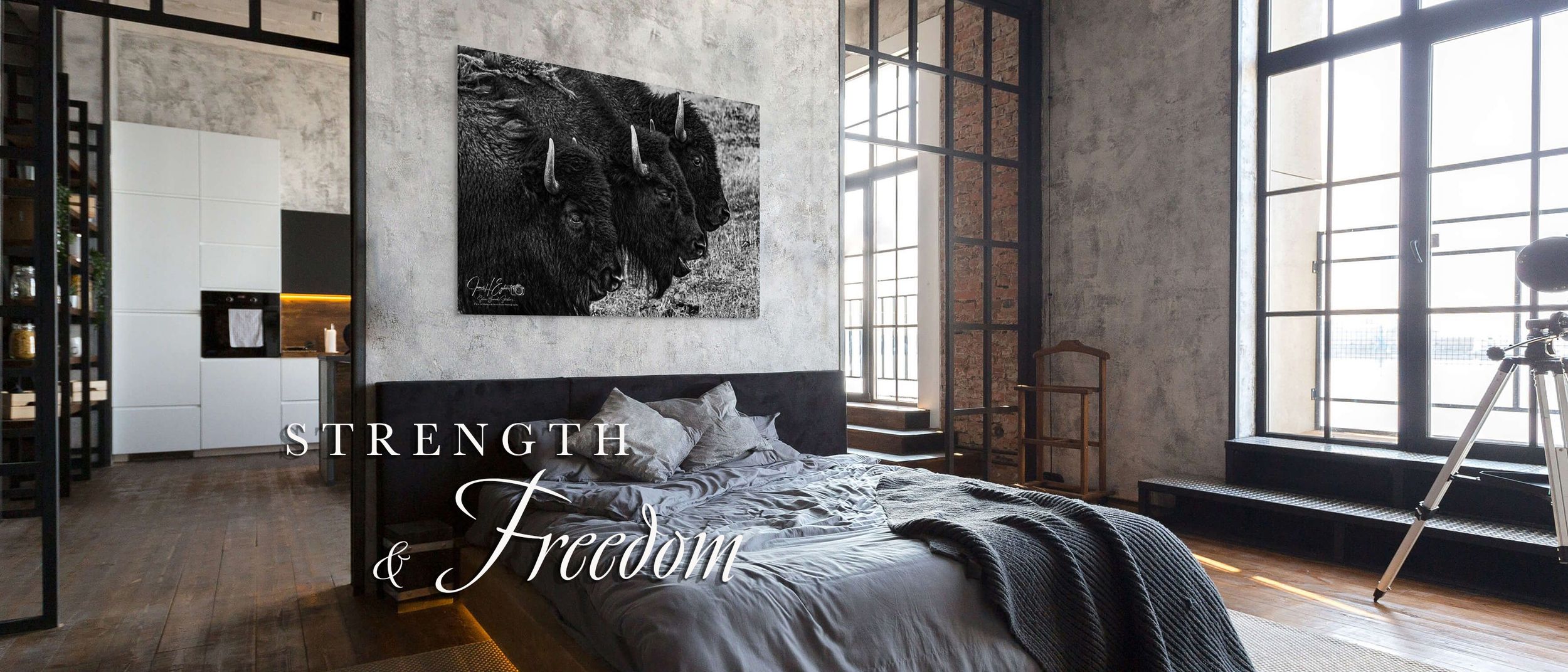 Strength and Freedom
“Colorado Wildlife fine art photography displayed in a luxury residential living room” Monument Colorado