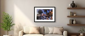 Framed Colorado landscape fine art photography displayed in a luxury living room interior