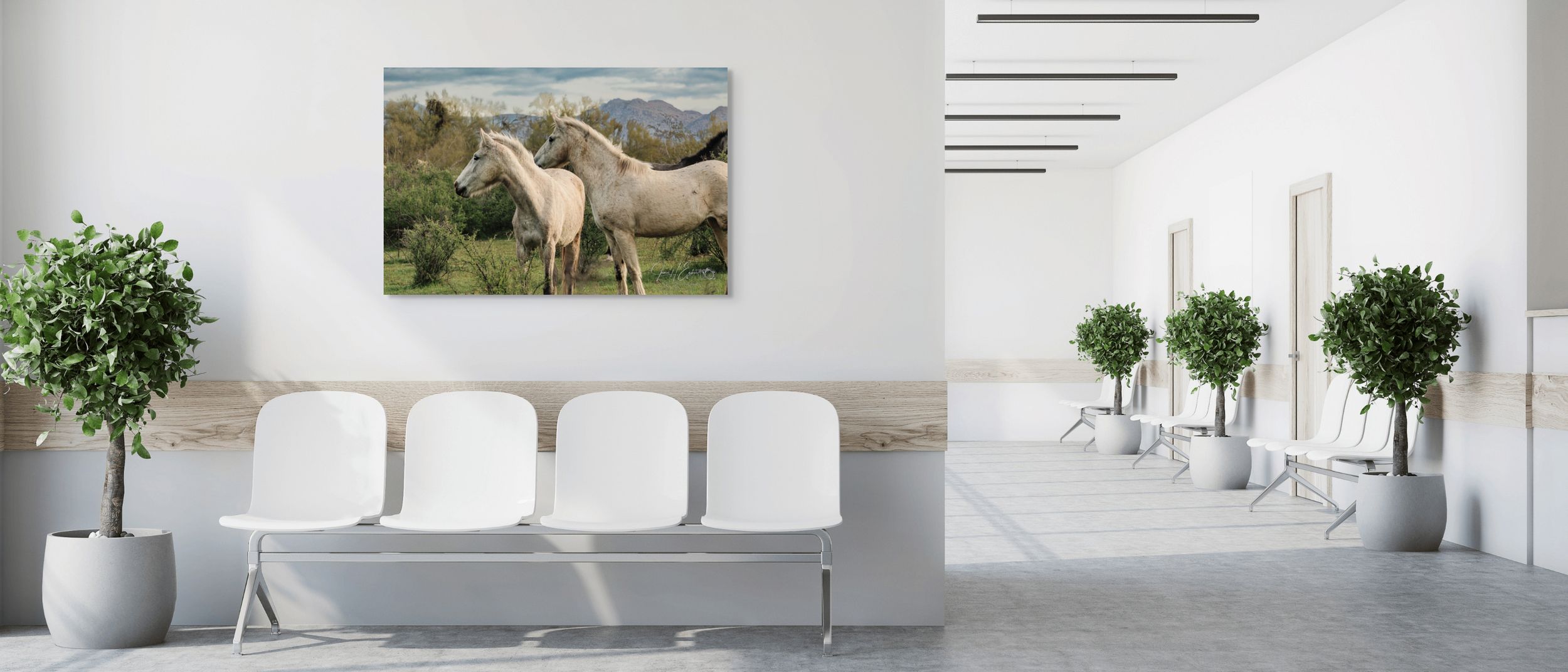 Framed Arizona Wildlife fine art photography displayed in a luxury living room interior