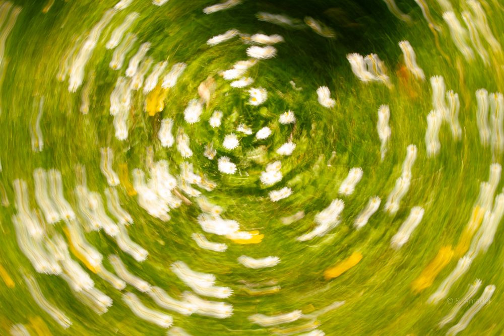 Abstract swirling green foliage with radial blur effect creating a spiral tunnel of bokeh light spots.