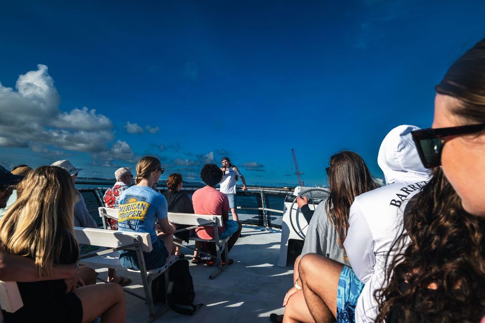 Tourists are enjoying a scenic boat tour under a vivid blue sky on a sunny day at sea.