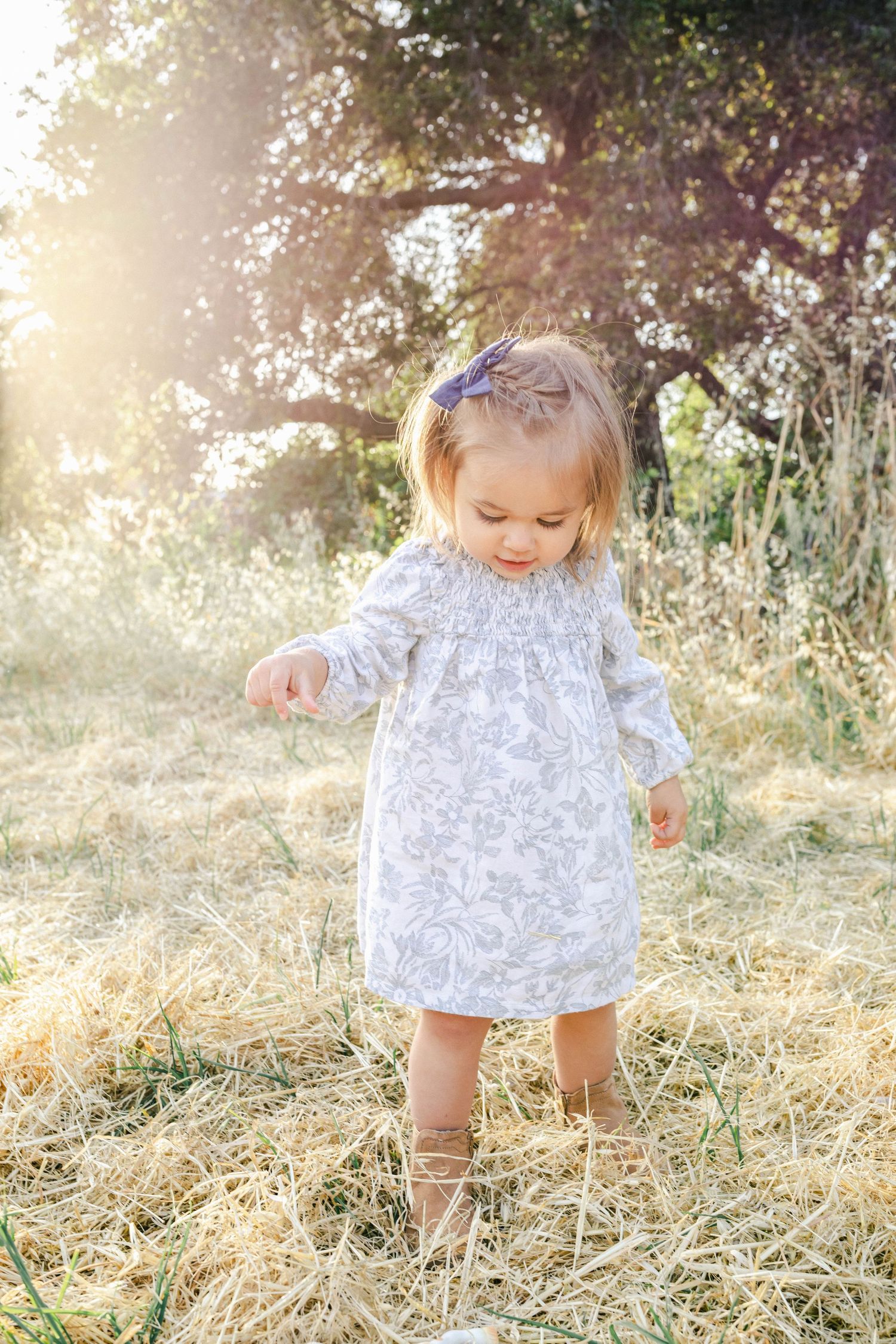 Toddler girl in floral dress with purple bow stands in golden sunlit field with tall grass and trees.