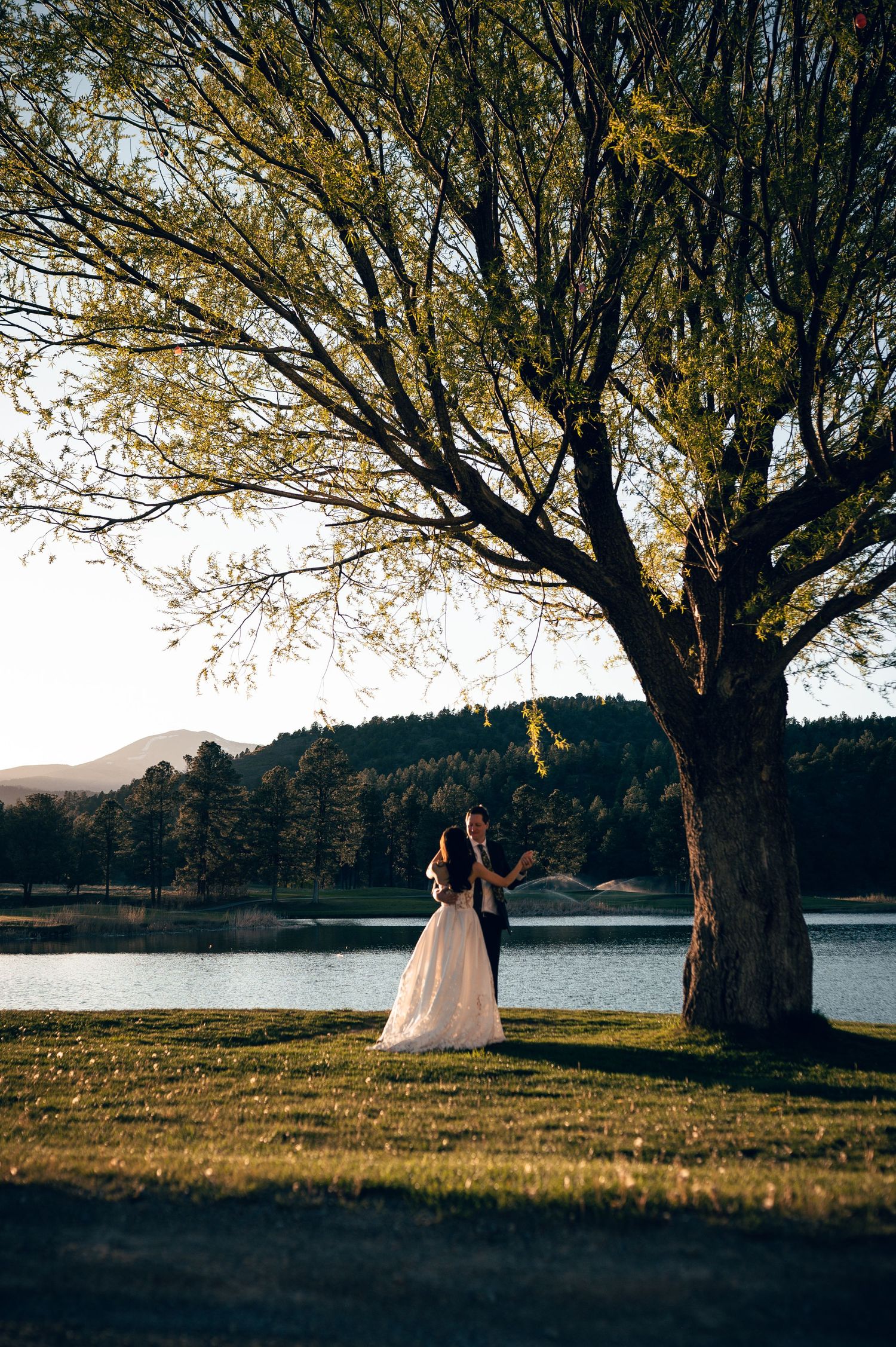 Bride and groom embracing under a large tree by a serene lake at golden hour with mountains in the background.