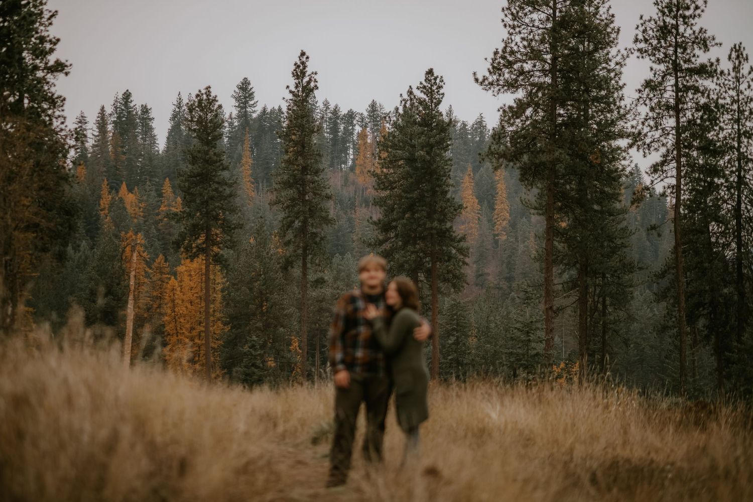 Couple embracing in a golden meadow surrounded by tall pine and autumn larch trees in a misty mountain forest.
