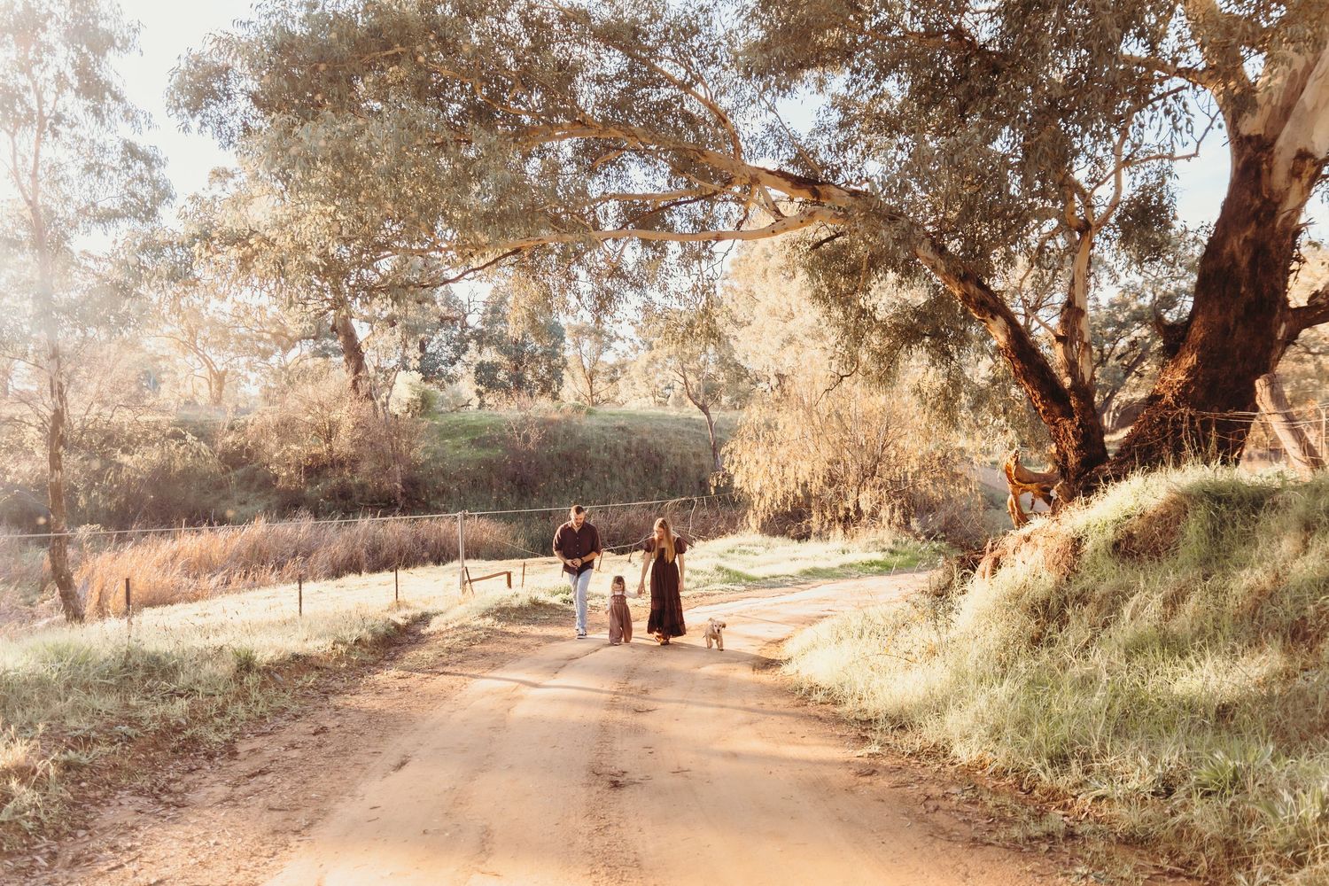 A couple walks with their small dog along a tree-lined dirt road in warm sunlight.