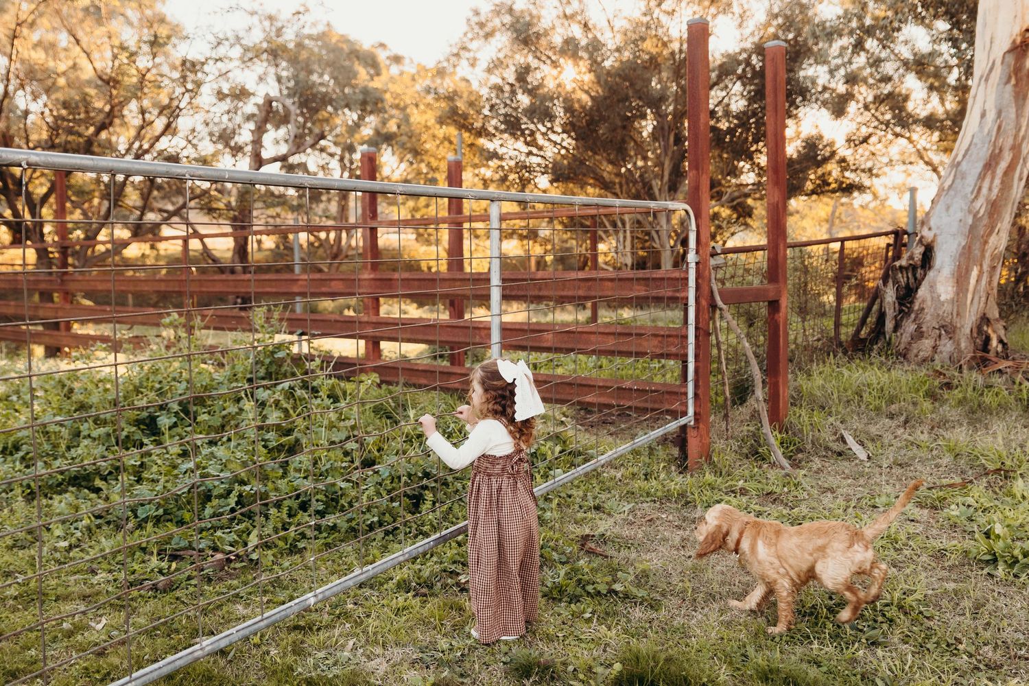A young girl in a white top and striped pants walks beside a golden dog near a farm gate.