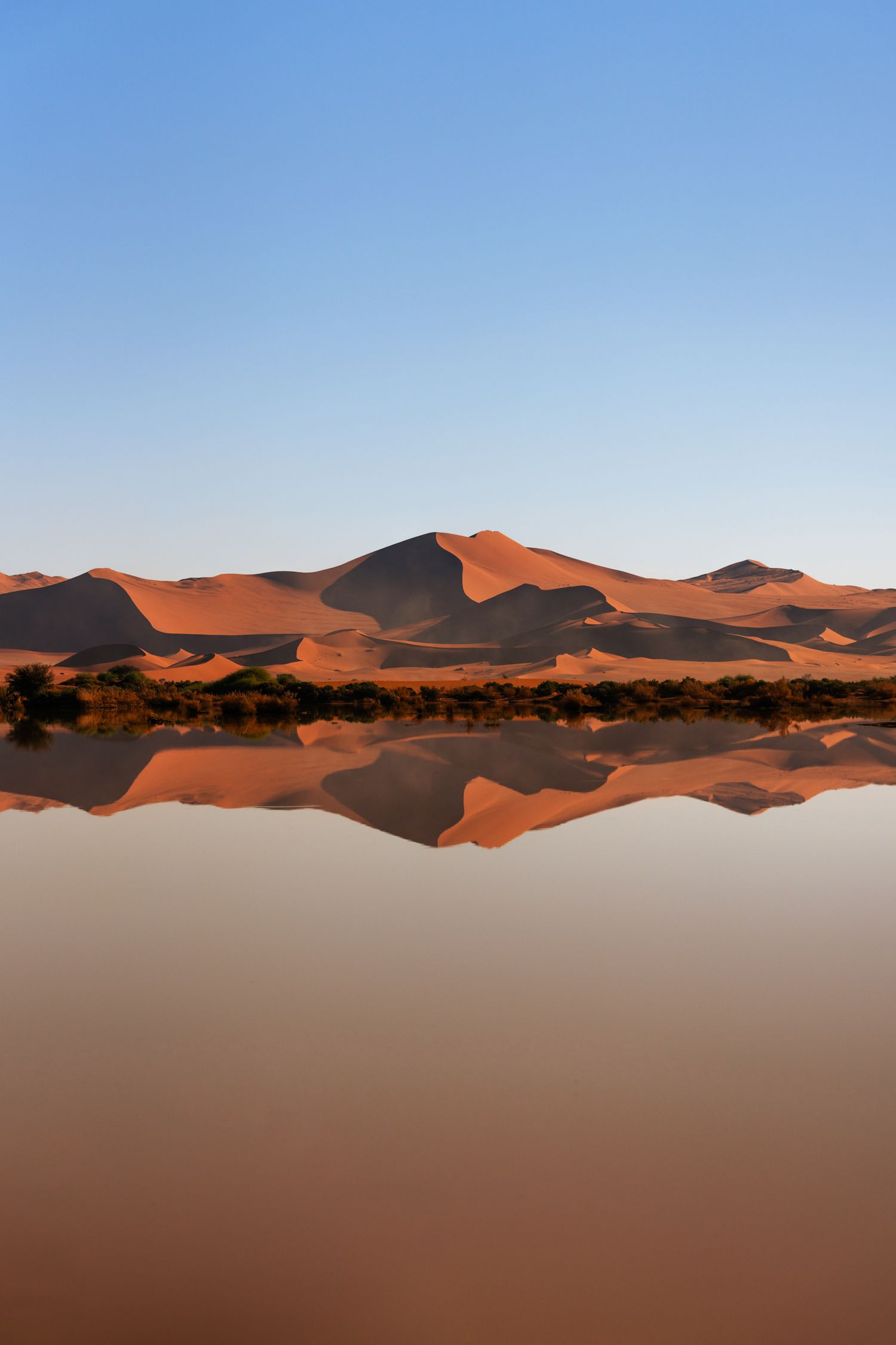 reflet des dunes de sossusvlei dans l'eau du lac