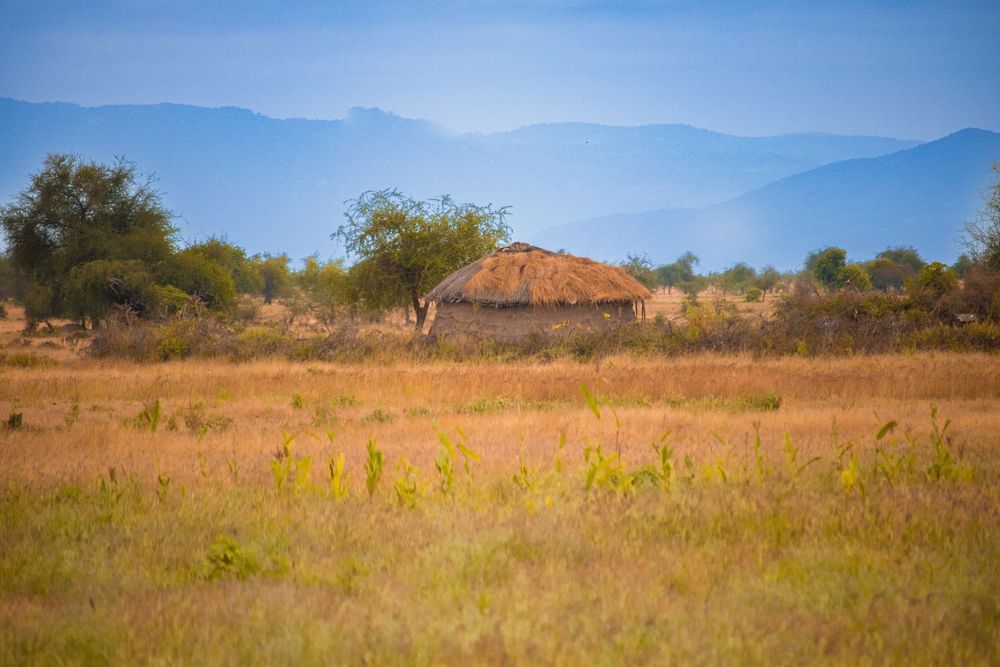 Hut