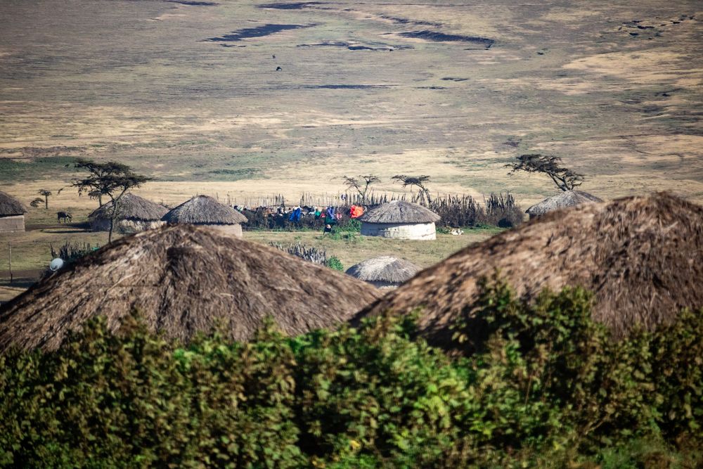 Huts