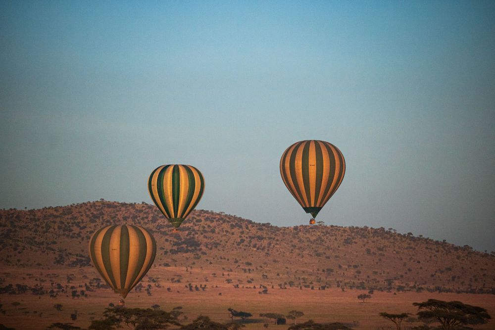 Hot Air balloons