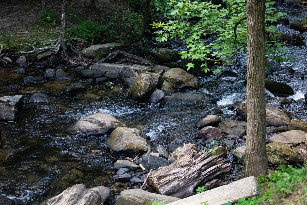 Creek