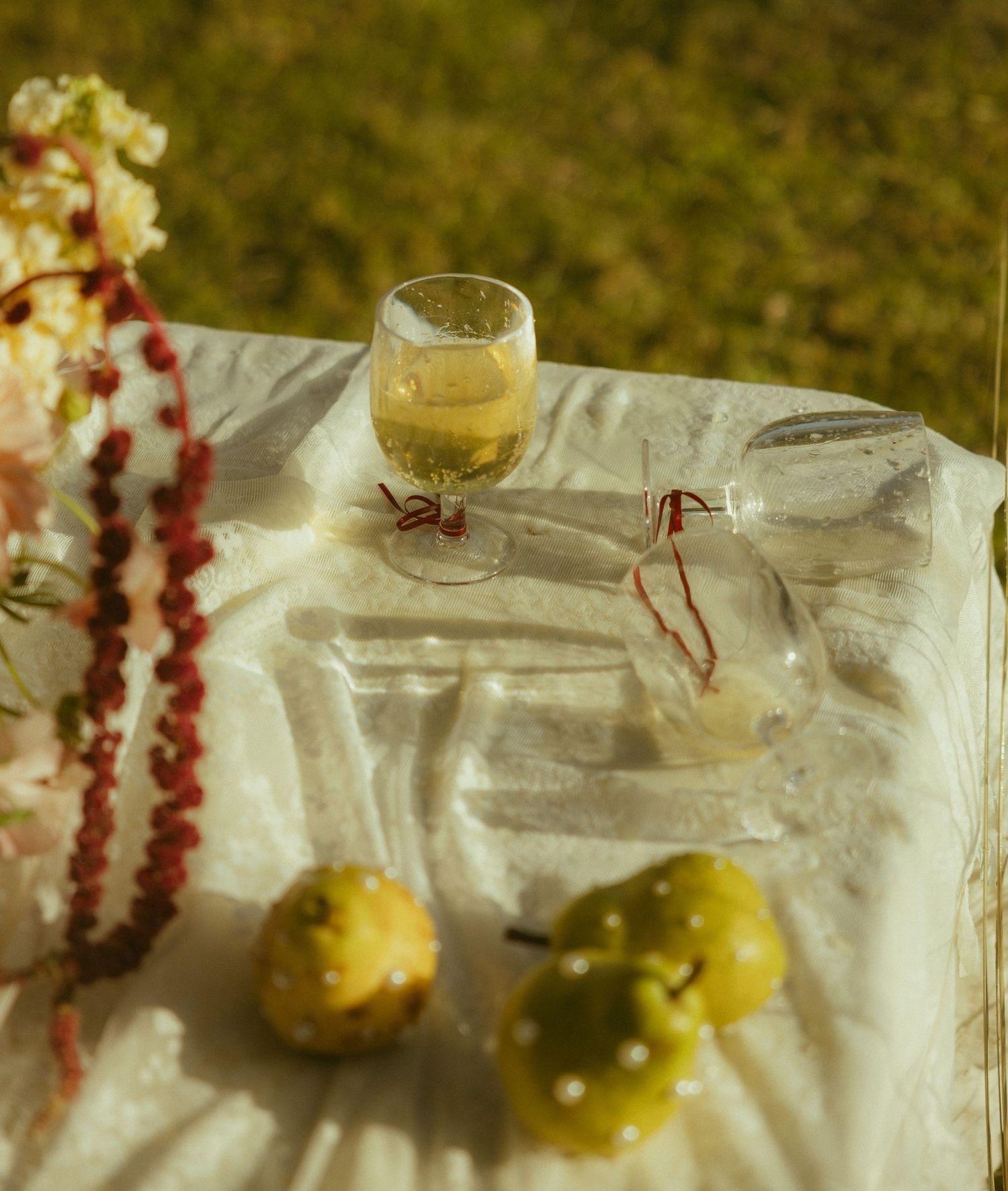 Outdoor picnic scene with white wine glass, pears, red beaded necklace, and glasses on white cloth in sunny garden.