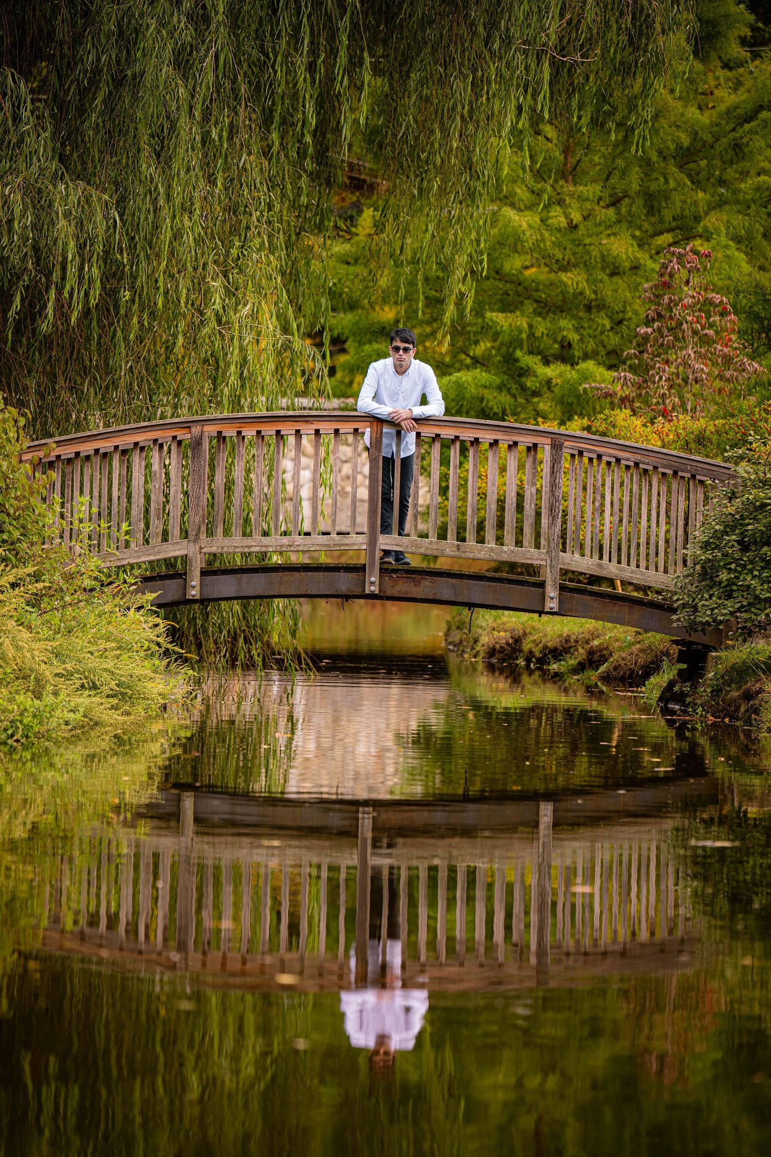Man standing on wooden arched bridge reflected in calm pond surrounded by lush green weeping willows.