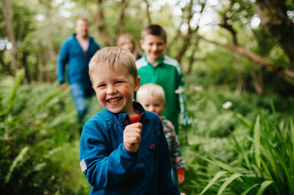 Group walking along a woodland path with lush green ferns and vegetation in natural light.