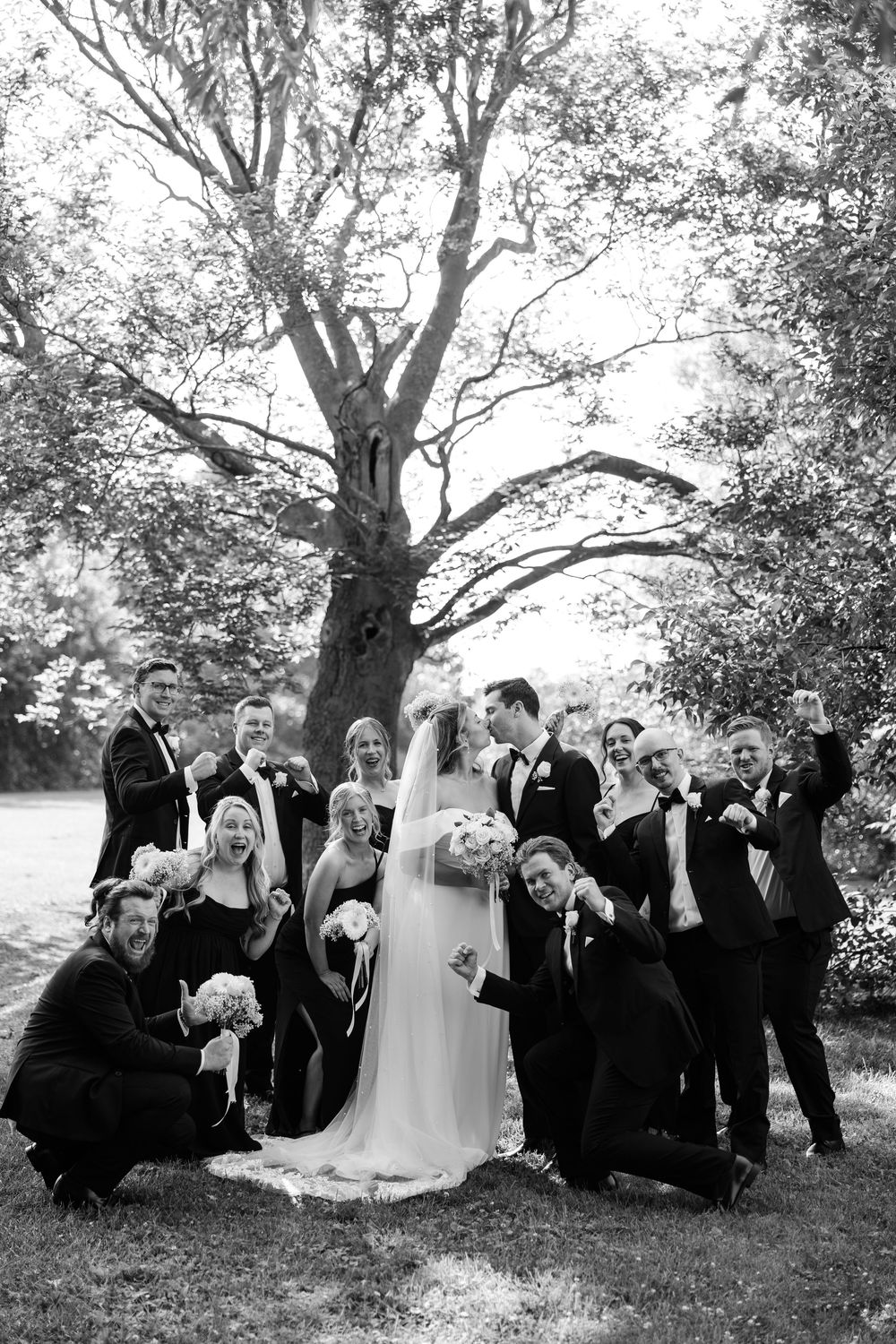 Wedding party celebrates with bride and groom kissing, black and white photo under a large tree with cheering guests.