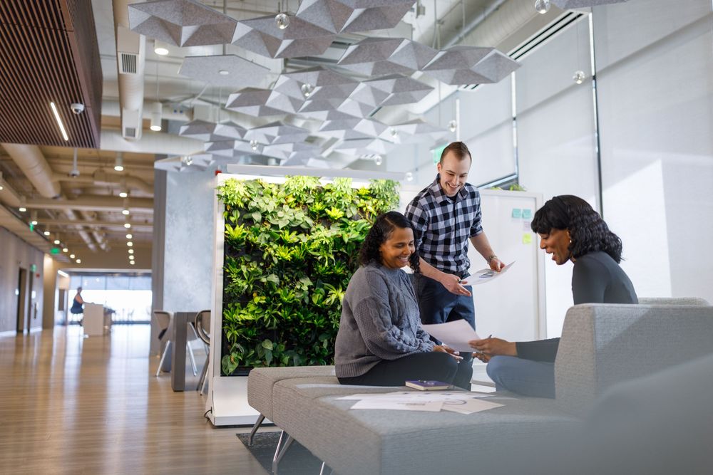 Three colleagues collaborating in a modern office with a living green wall, reviewing documents together.