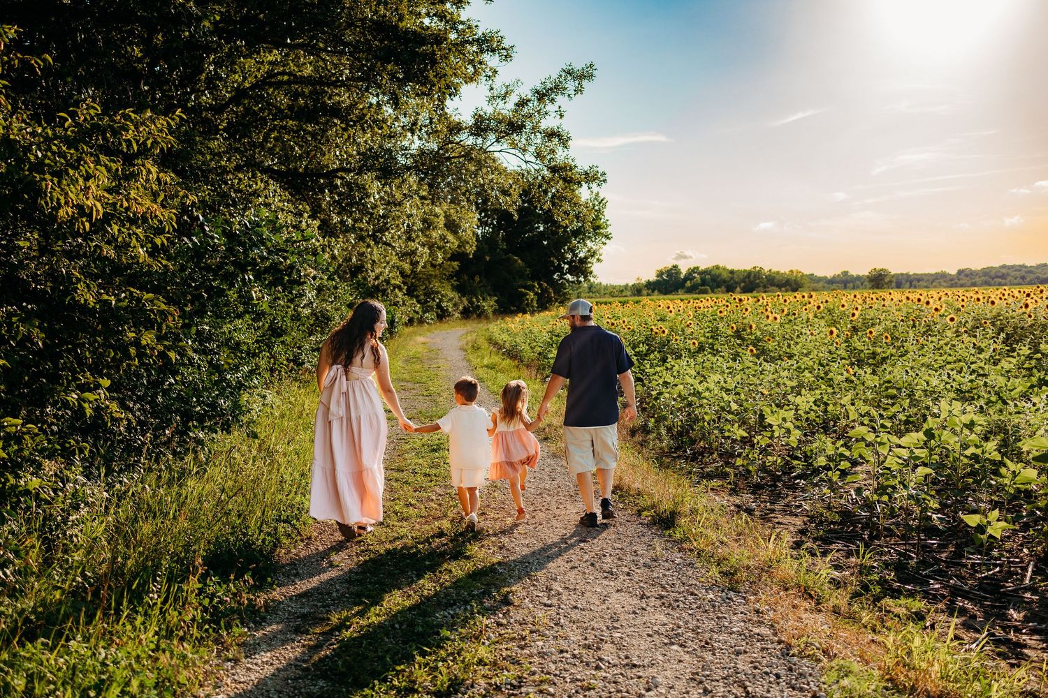 A family of 4 walking on a gravel path through a field of sunflowers.