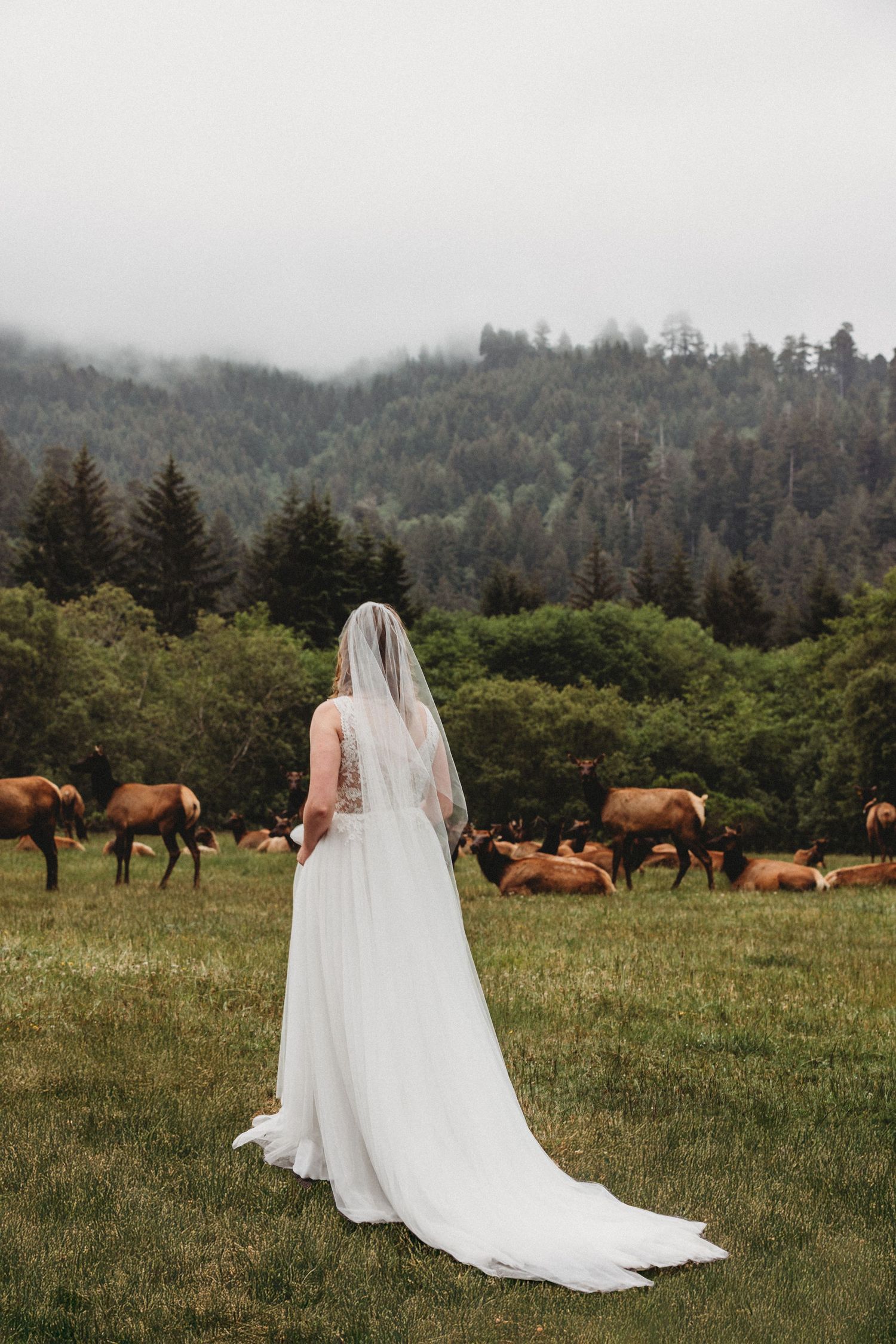 Bride in white strapless wedding gown holding floral bouquet with flowing veil, standing outdoors in soft natural light.
