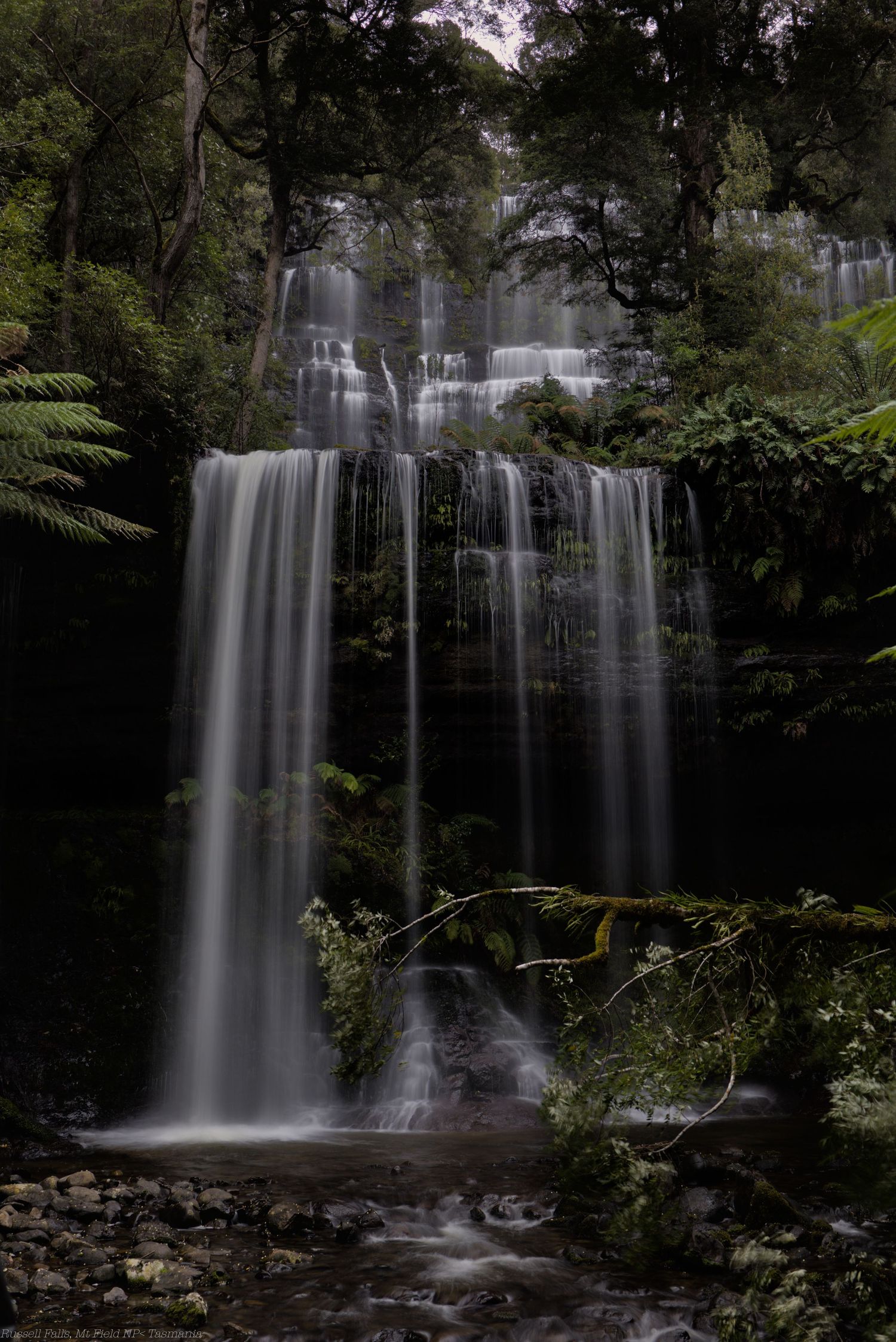 Long-exposure photo of a multi-tiered waterfall cascading over dark rocks into a stream, surrounded by lush green ferns and rainforest.