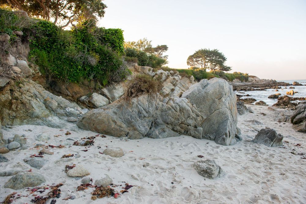 Rocky beach with white sand, lush green cliffs, and trees at golden hour on the California coast.