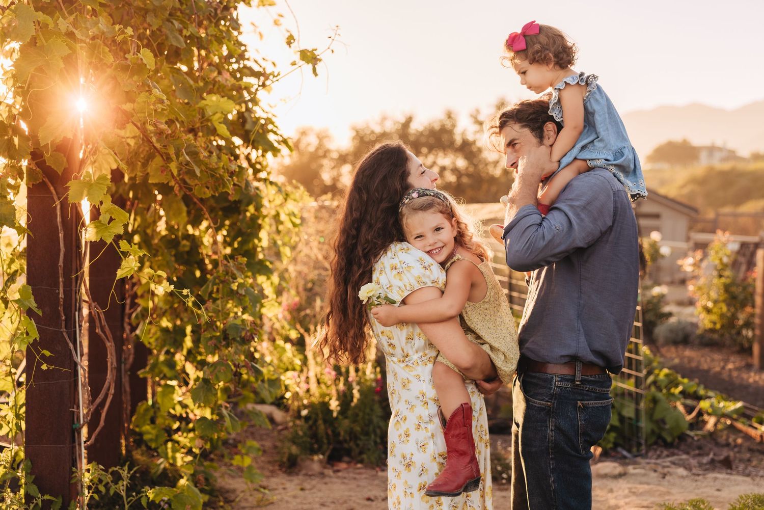 A family of four embraces in a sunlit vineyard at golden hour, with a mother and father holding their two young daughters.