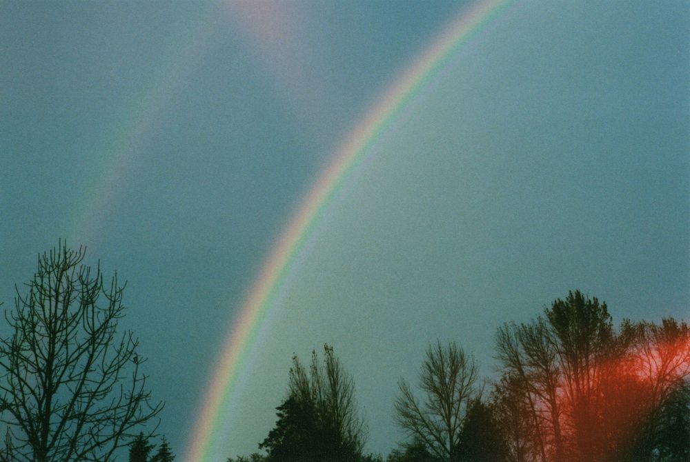 Double rainbow arcing across a dusky blue sky above silhouetted trees, with warm reddish light glowing on the foliage at right.