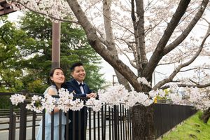 Smiling couple in formal attire posing beside a blooming cherry blossom tree along a park fence in spring.