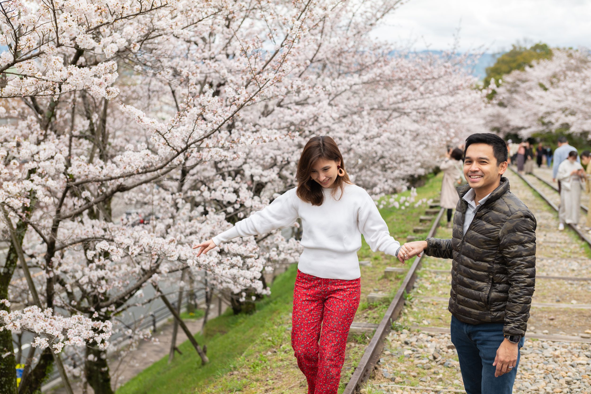 Smiling couple holding hands and walking along old railway tracks beneath blooming cherry blossom trees during spring.