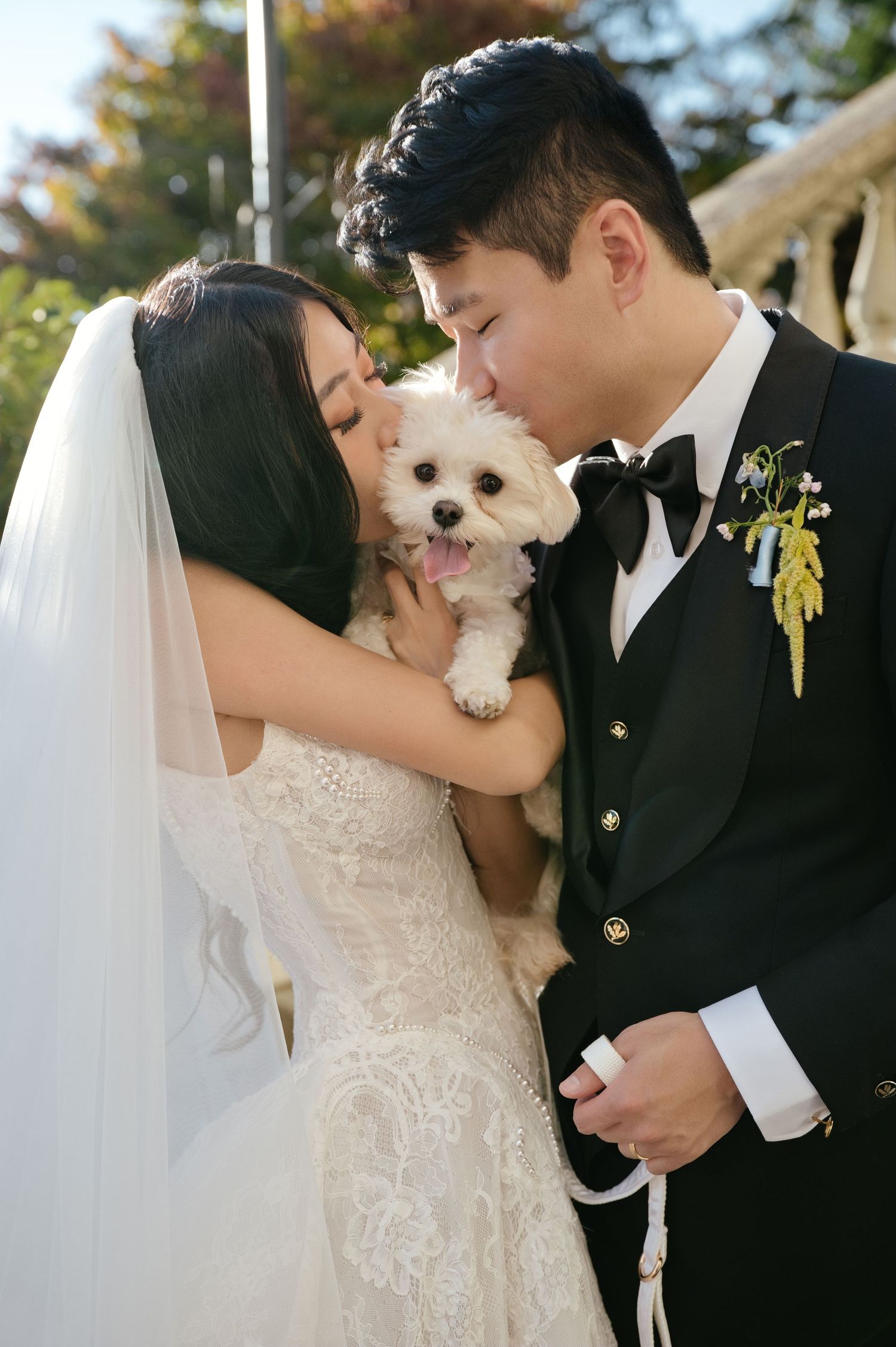 A bride in a lace gown and veil and a groom in a black tuxedo with a boutonniere kiss a small white dog on their wedding day.