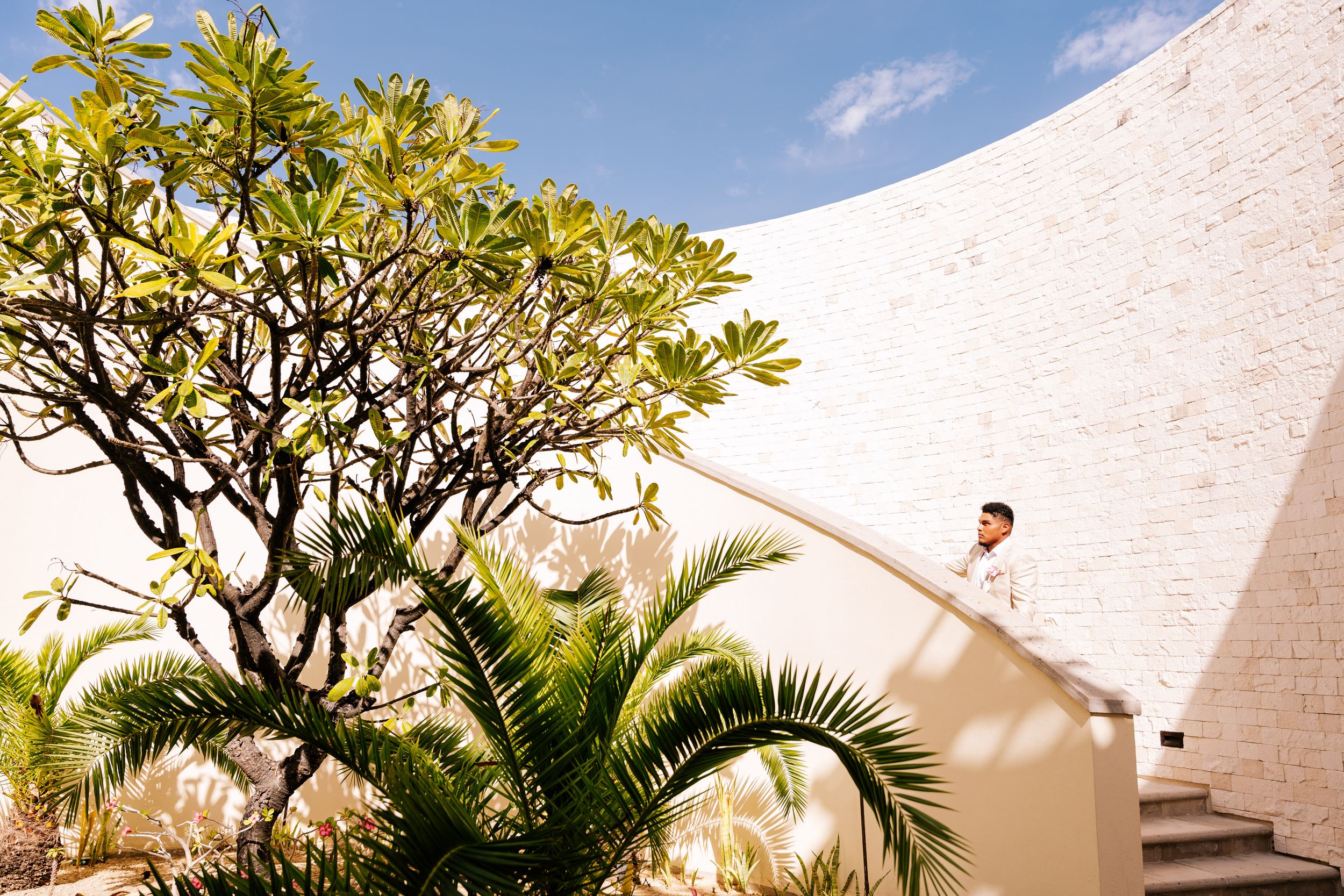 Man stands at the top of a curved white brick staircase beside a frangipani tree and palm fronds under a bright blue sky.