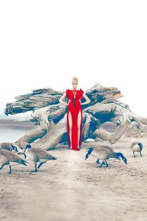 A blonde woman in a striking red gown poses near driftwood surrounded by Canada geese.