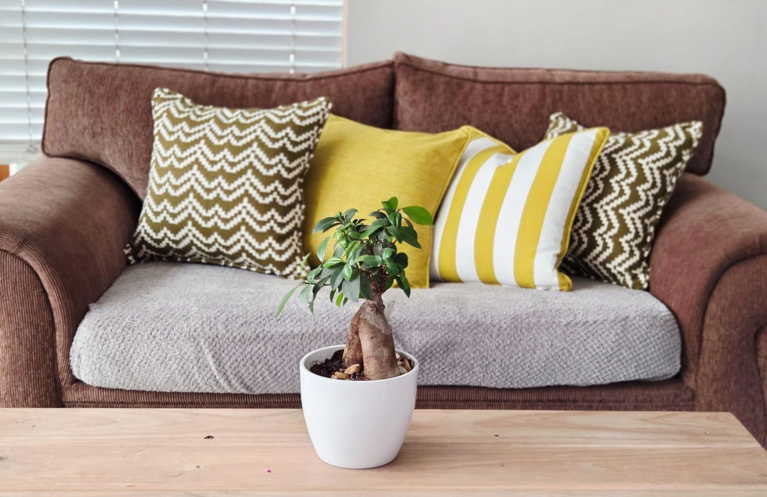 Brown sofa with yellow and patterned cushions, featuring a small bonsai tree in a white pot on a wooden coffee table.