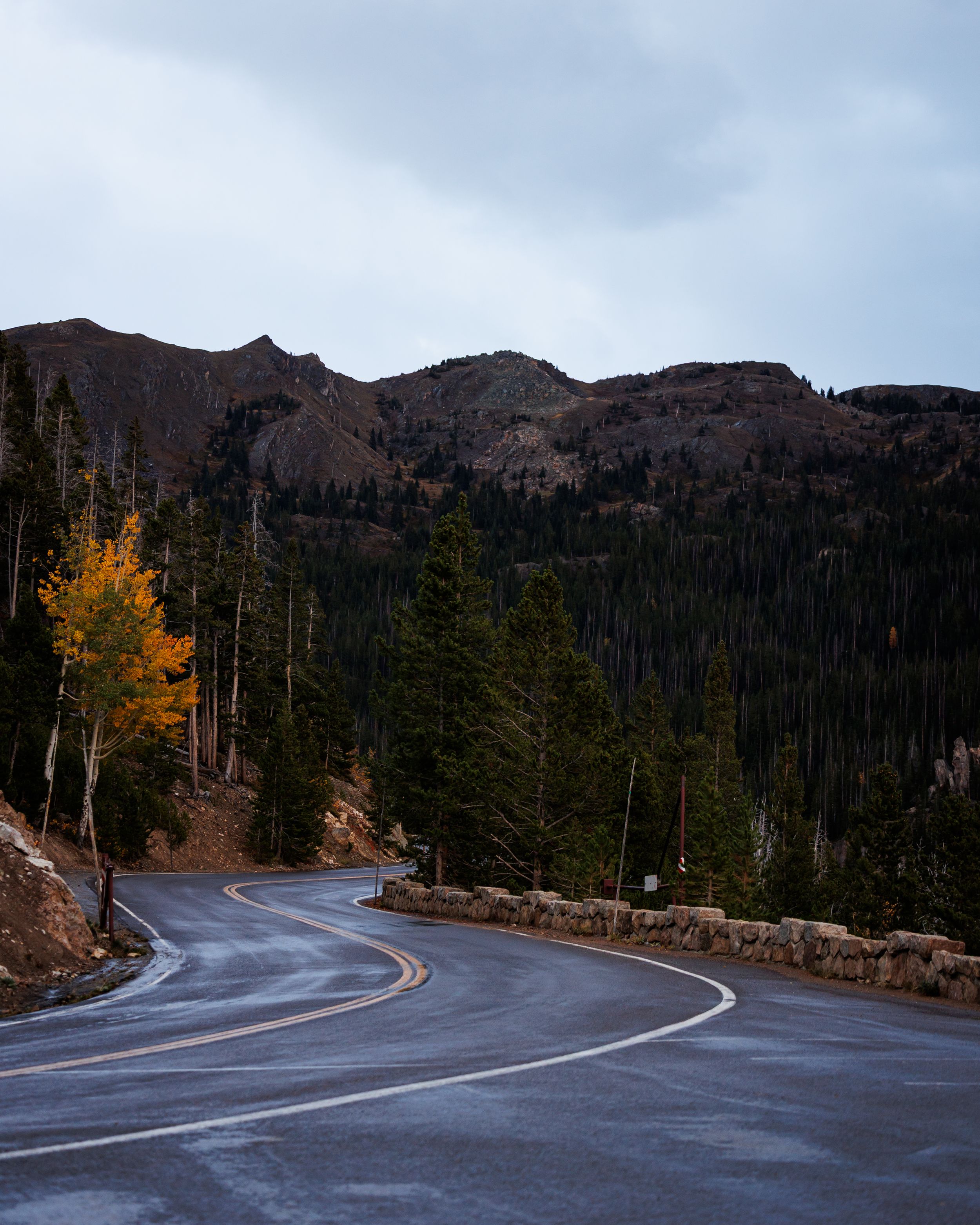 Winding mountain road with wet asphalt, autumn trees, evergreen forest, and rocky peaks under cloudy skies.