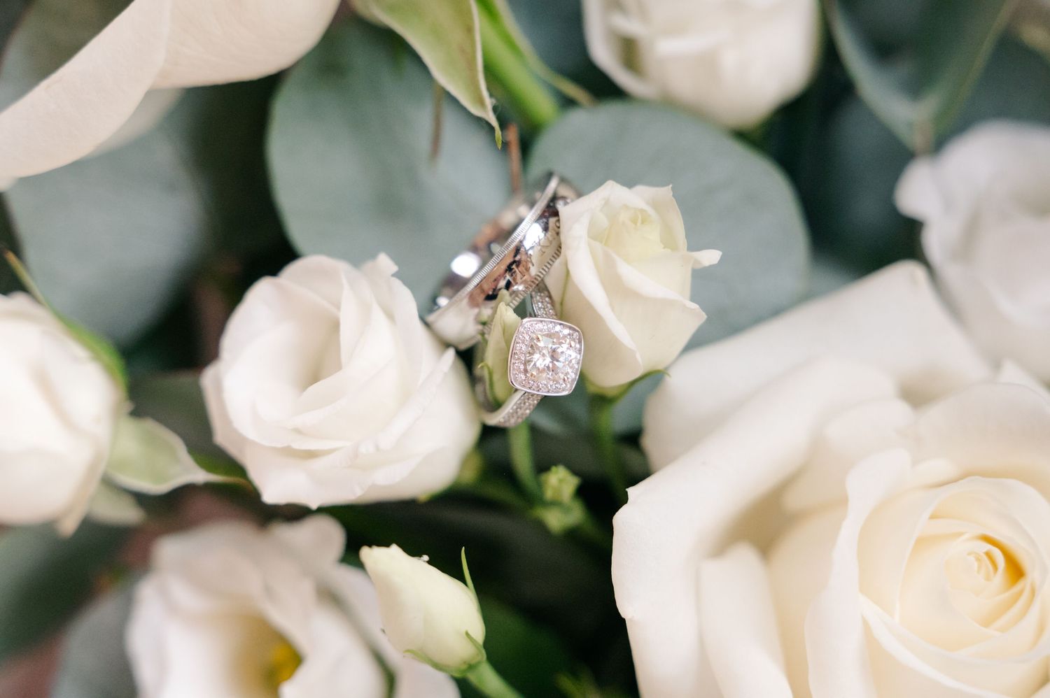 Diamond engagement ring and wedding bands nestled among white roses and eucalyptus in a bridal bouquet.