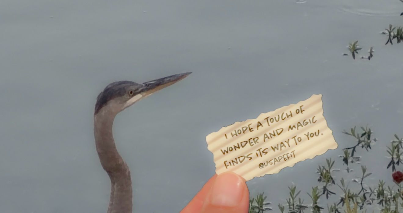 A great blue heron stands near water as a hand holds a note reading a hopeful message about wonder and magic.