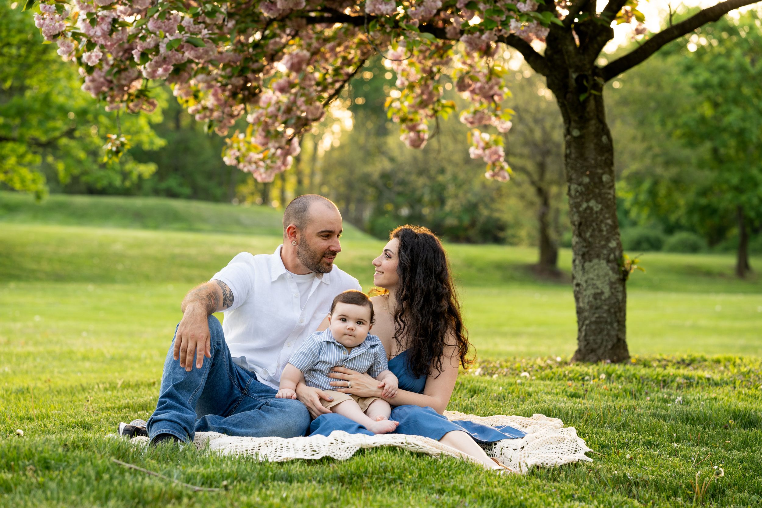 Family enjoying a spring picnic under blooming cherry blossom trees during sunset in the park.