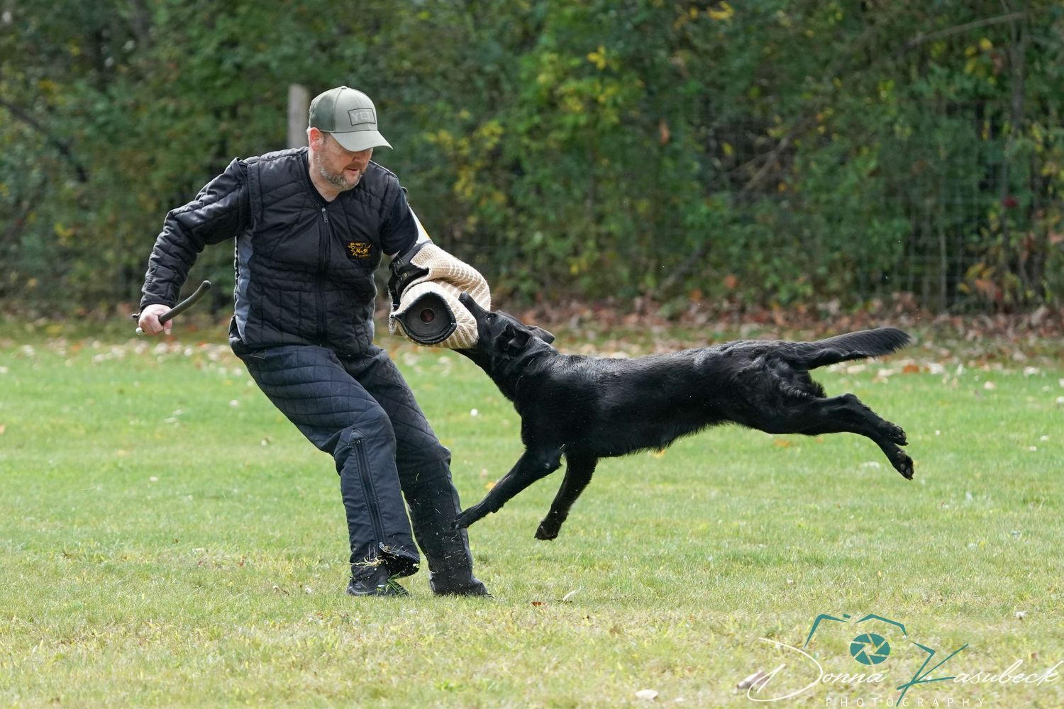 IGP Protection Dogs