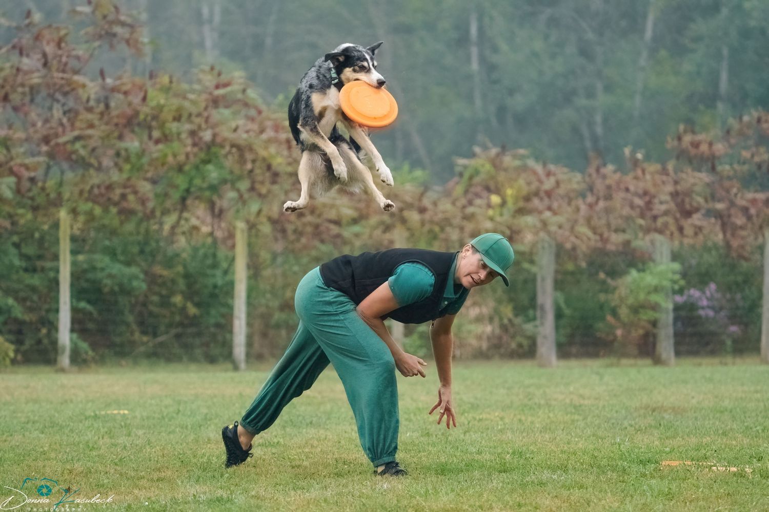 Dance,  Trick or Stunt Dogs