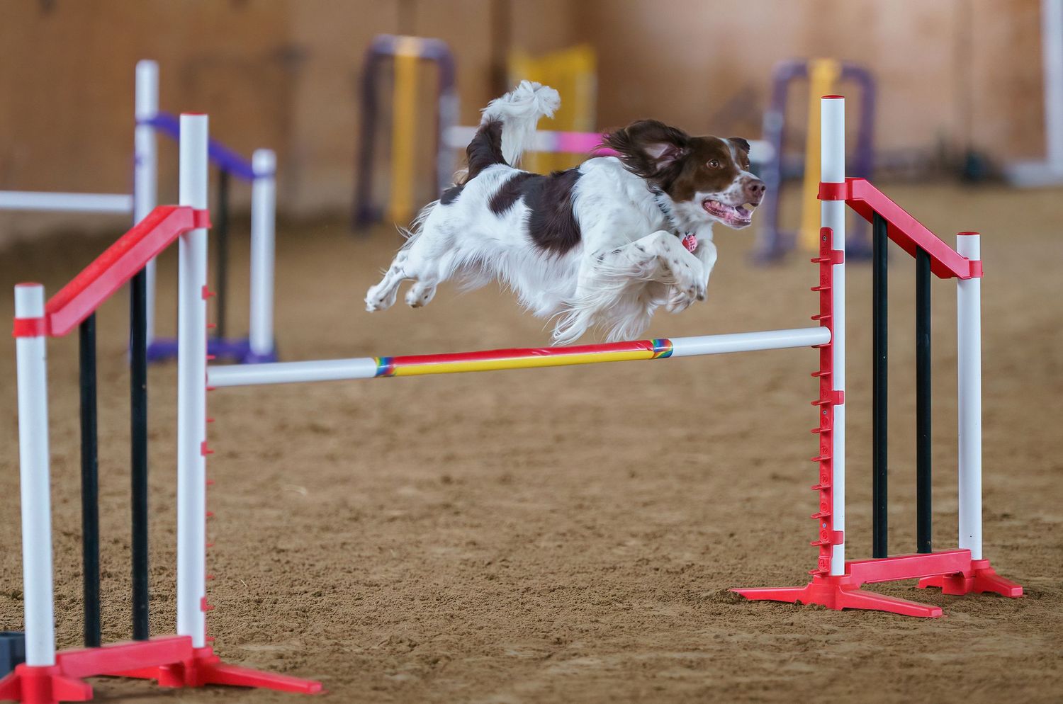 Agility