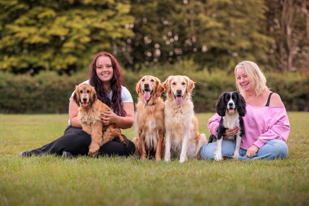 Two people sitting on grass with four happy dogs including golden retrievers and a black dog in an enclosed field